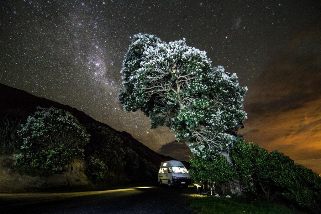 A night under the New Zealand stars in a PiwiWiwi campervan